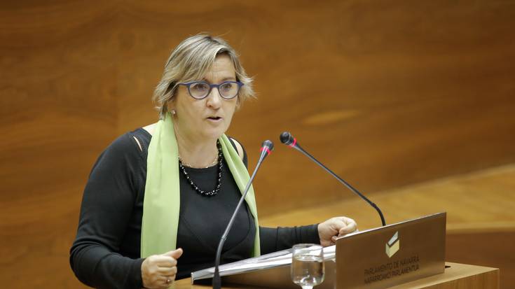 "Kaleko beharrei erantzuteko xedez" izanen da Marisa de Simon Ezker Batuko buru