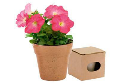 'Udaberria oparitu' kanpaina Alde Zaharreko saltokietan