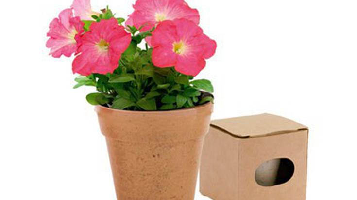 'Udaberria oparitu' kanpaina Alde Zaharreko saltokietan