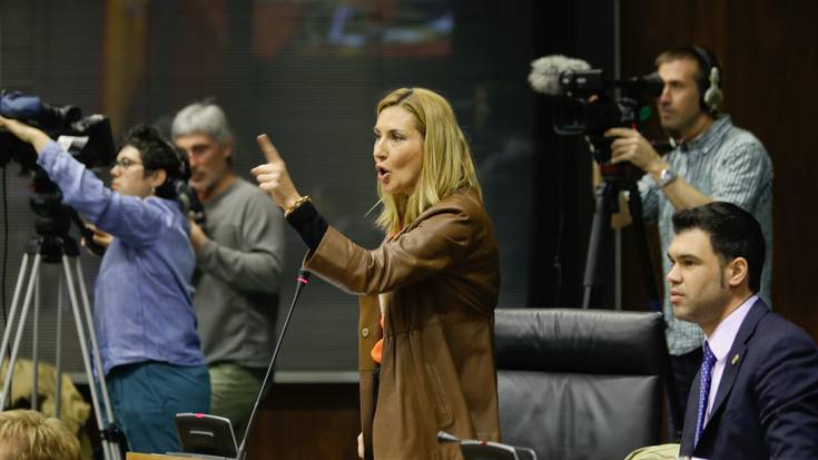 Barkosek esan du PPNk ez lukeela "eraso gisa" hartu behar Bilduko parlamentariek torturaren aurkako afixak erakustea