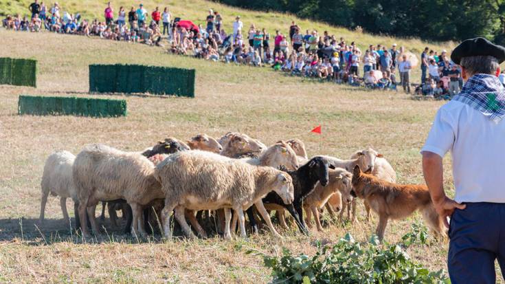 Jose Mari Ustarroz: "Klima aldaketaren aurrean inoiz baino laguntza gehiago behar dute artzainek"
