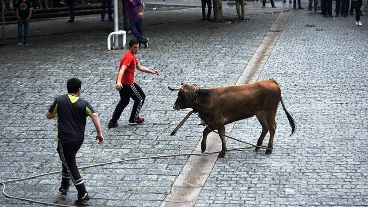 Noaingo bizilagunei galdetuko diete festetan bigantxak nahi ote dituzten