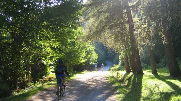 "Gune desmilitarizatu" izendatu zuen Zaraitzuk Irati basoa baina epaileak atzera bota du 