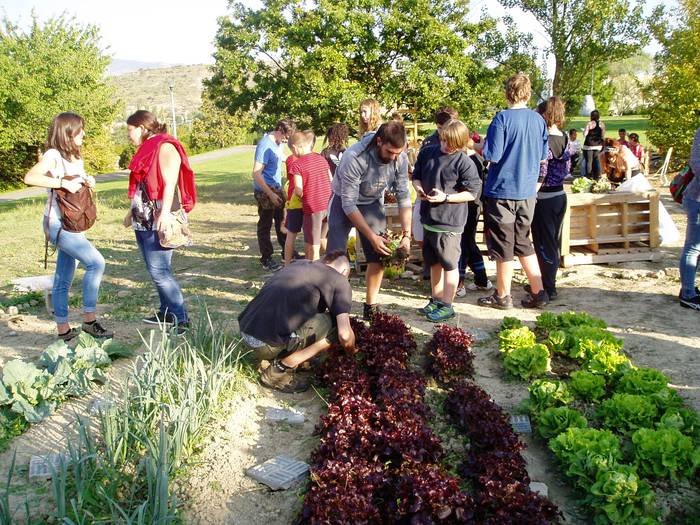 Alde Zaharrean herri baratze bat martxan jartzea proposatu dute