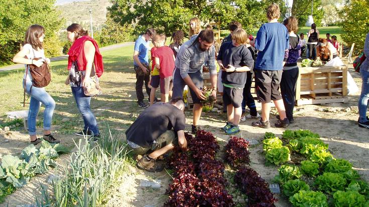 Alde Zaharrean herri baratze bat martxan jartzea proposatu dute