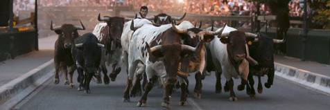 Entzierrilloko paseak zozkatu dituzte