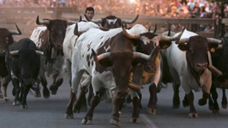 Entzierrilloko paseak zozkatu dituzte
