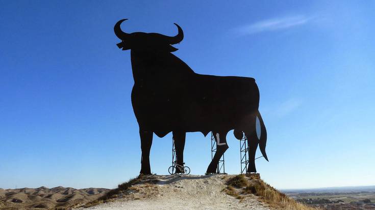 Osborne zezena berriz zutik