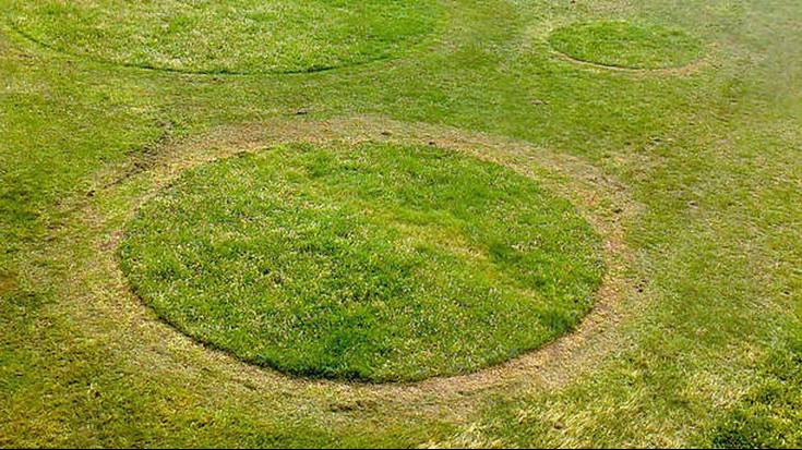 Iruñeko lehen “lorategi iraungikorra”, Ziudadelako lubanarroetan