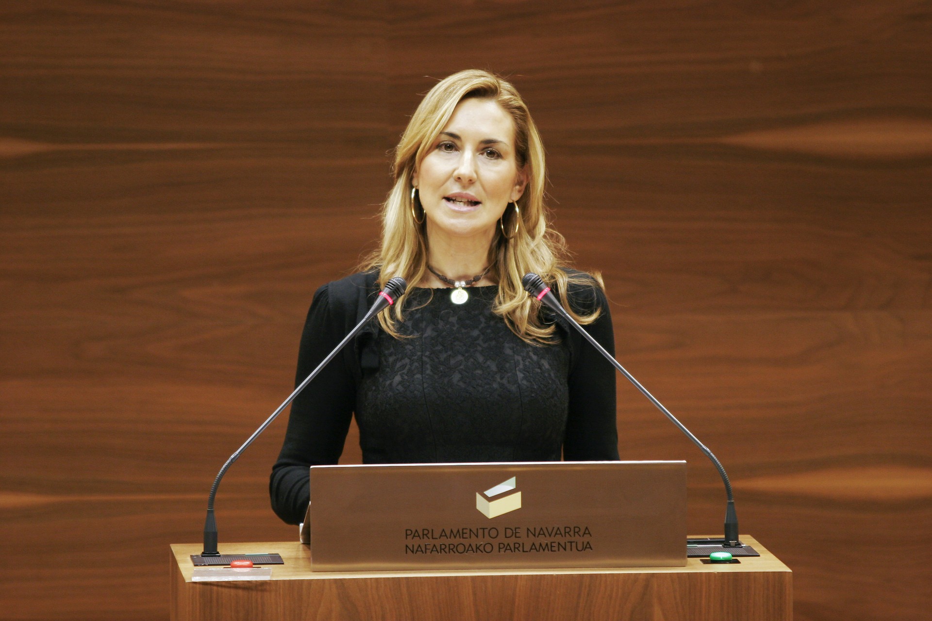 Ana Beltranen adierazpenak gaitzetsi ditu Nafarroako Parlamentuak