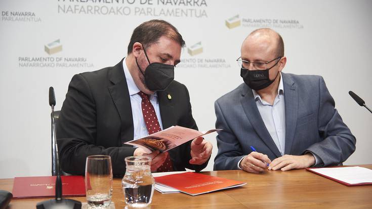 Foru Hobekuntzaren legea, aztergai