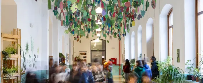 San Frantzisko ikastetxeko korridorea berdegune bilakatu dute