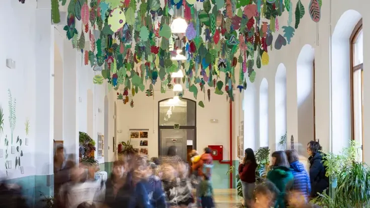 San Frantzisko ikastetxeko korridorea berdegune bilakatu dute