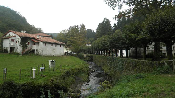 Ezkutuko ehiza Artikutzan "bereziki merke" ateratzen dela salatu du Eguzkik