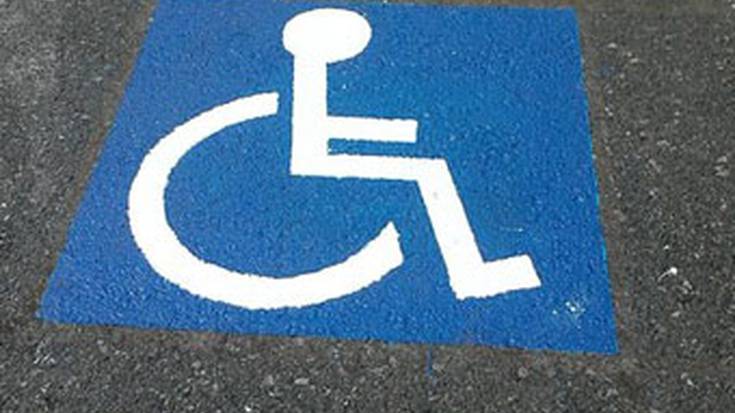 Autoa aparkatzeko matrikularik gabeko txartel berriak ahalmen urriko pertsonentzat