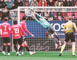 Sugarrak bizirik dirau