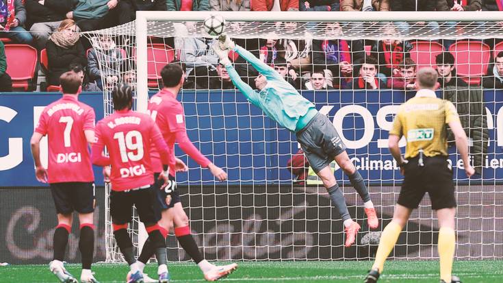 Sugarrak bizirik dirau